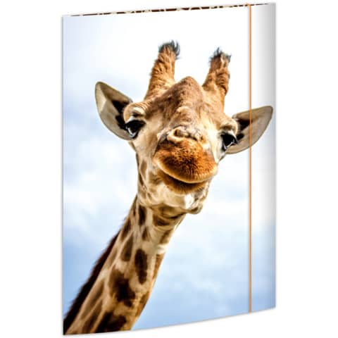 Tier, Giraffe, Säugetier, Tierwelt