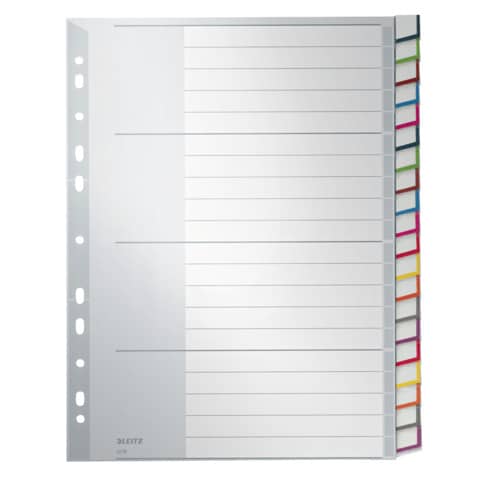 Plastikregister Blanko, A4, PP, 20 Blatt, grau LEITZ 1278-00-00
