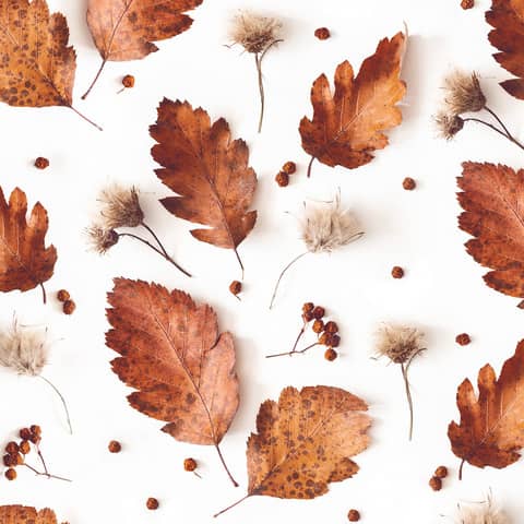 Motivserviette Herbst, 33 x 33 cm, 3-lagig ATELIER 1211-23042