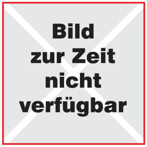 Klemmschiene A4, 30 Blatt, transparent, 10 Stück DURABLE 2932 19