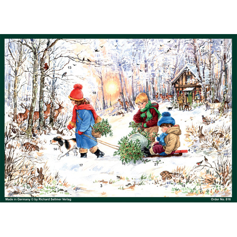 Tierheim, Person, Pflanze, Bewuchs, Hund